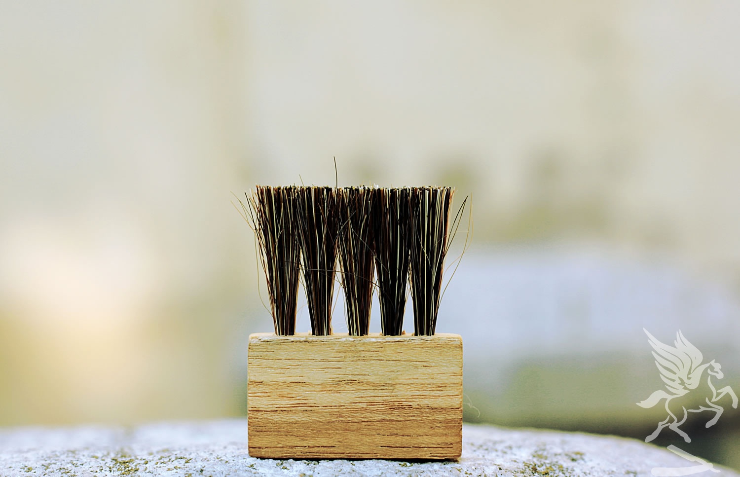 BEARD ALCHEMY - Mantegna - Spazzola da Viaggio per Baffi